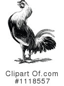Rooster Clipart #1118557 by Prawny Vintage