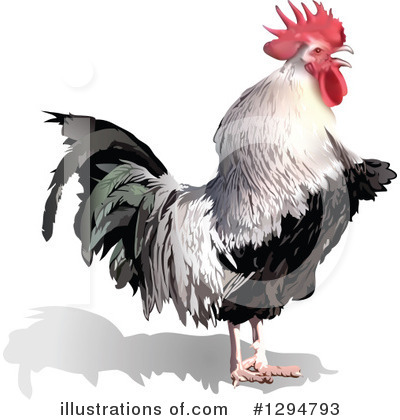Royalty-Free (RF) Rooster Clipart Illustration by dero - Stock Sample #1294793
