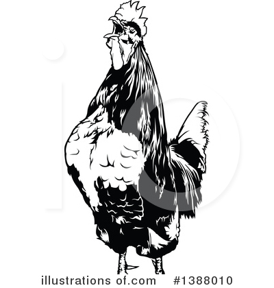 Royalty-Free (RF) Rooster Clipart Illustration by dero - Stock Sample #1388010
