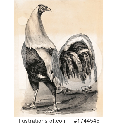 Chicken Clipart #1744545 by JVPD