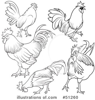 Roosters Clipart #51260 by dero
