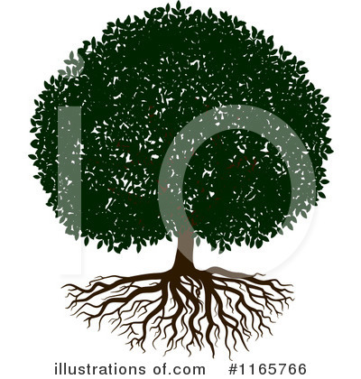 Roots Clipart #1165766 by Vector Tradition SM