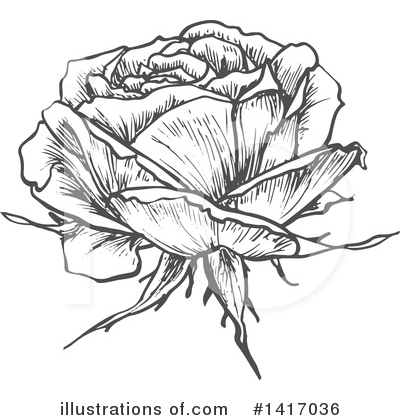 Royalty-Free (RF) Rose Clipart Illustration by Vector Tradition SM - Stock Sample #1417036