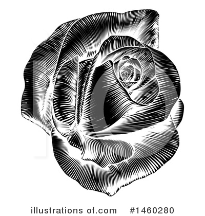 Royalty-Free (RF) Rose Clipart Illustration by AtStockIllustration - Stock Sample #1460280