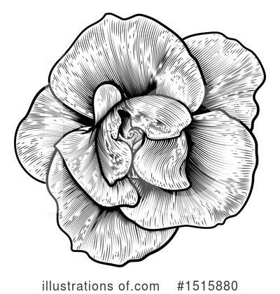 Royalty-Free (RF) Rose Clipart Illustration by AtStockIllustration - Stock Sample #1515880