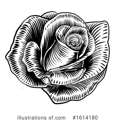 Royalty-Free (RF) Rose Clipart Illustration by AtStockIllustration - Stock Sample #1614180
