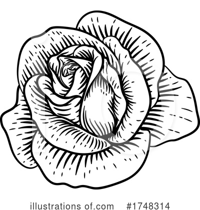 Royalty-Free (RF) Rose Clipart Illustration by AtStockIllustration - Stock Sample #1748314