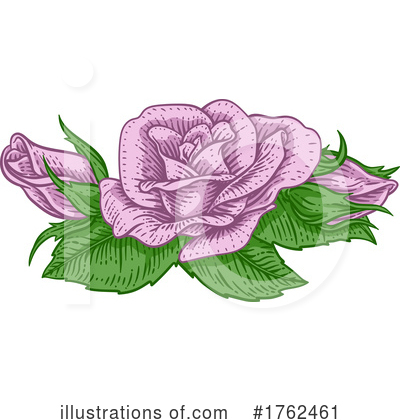 Royalty-Free (RF) Rose Clipart Illustration by AtStockIllustration - Stock Sample #1762461