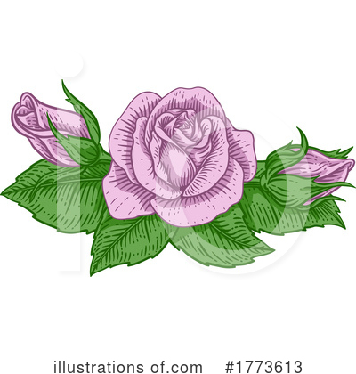 Royalty-Free (RF) Rose Clipart Illustration by AtStockIllustration - Stock Sample #1773613