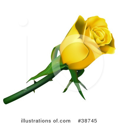 Roses Clipart #38745 by dero