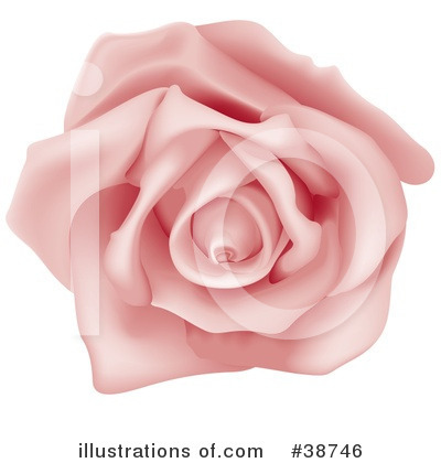Roses Clipart #38746 by dero