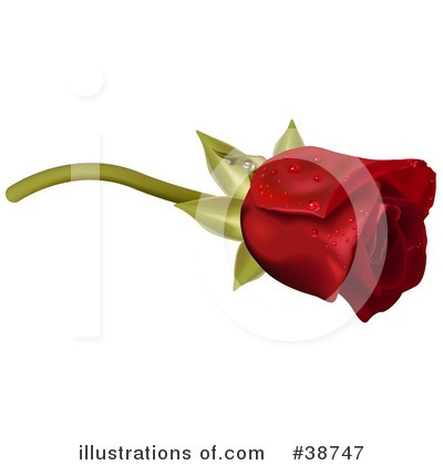 Rose Clipart #38747 by dero