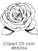 Rose Clipart #66004 by Prawny