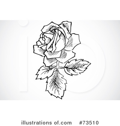 Royalty-Free (RF) Rose Clipart Illustration by BestVector - Stock Sample #73510