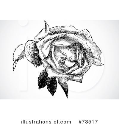 Royalty-Free (RF) Rose Clipart Illustration by BestVector - Stock Sample #73517