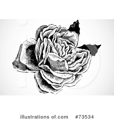 Royalty-Free (RF) Rose Clipart Illustration by BestVector - Stock Sample #73534