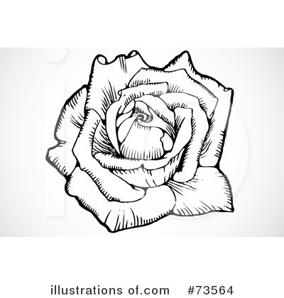 Royalty-Free (RF) Rose Clipart Illustration by BestVector - Stock Sample #73564