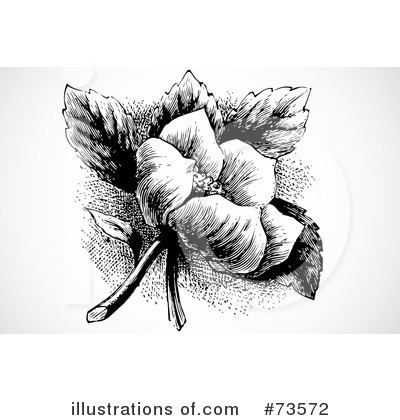 Royalty-Free (RF) Rose Clipart Illustration by BestVector - Stock Sample #73572