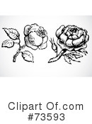 Rose Clipart #73593 by BestVector