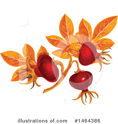 Rose Hips Clipart #1464386 by Vector Tradition SM