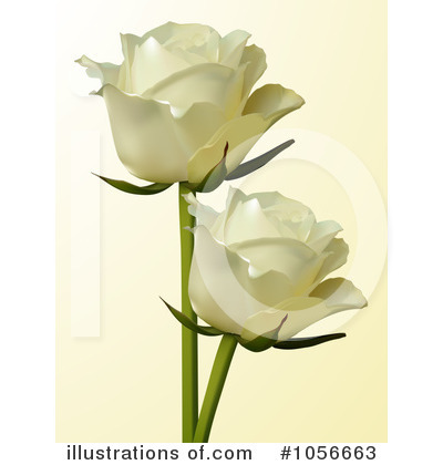 Ivory Rose Clipart #1056663 by elaineitalia