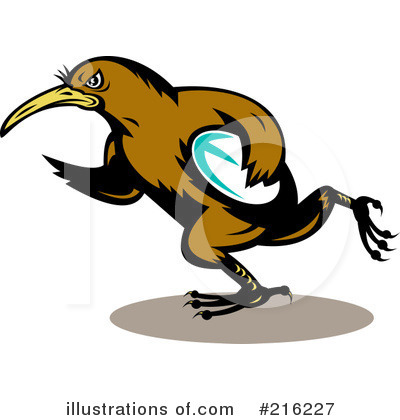 Kiwi Bird Clipart #216227 by patrimonio