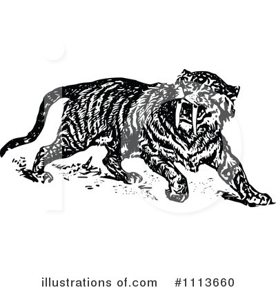 Royalty-Free (RF) Saber Toothed Tiger Clipart Illustration by Prawny Vintage - Stock Sample #1113660