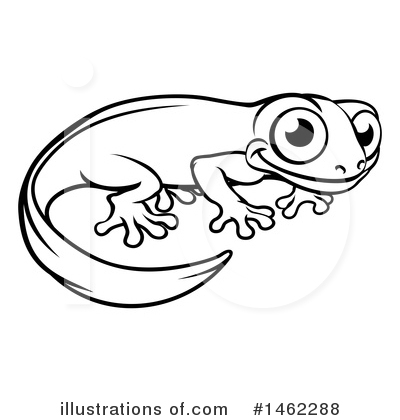 Royalty-Free (RF) Salamander Clipart Illustration by AtStockIllustration - Stock Sample #1462288