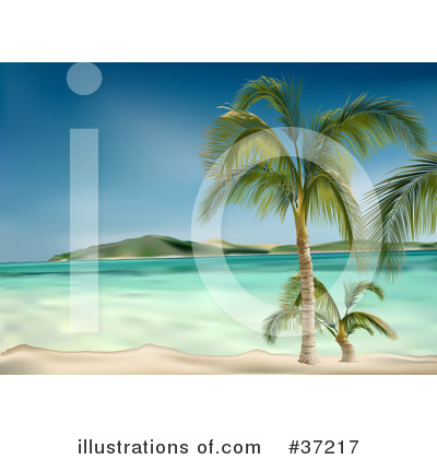 Palm Trees Clipart #37217 by dero