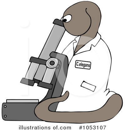 Microscope Clipart #1053107 by djart