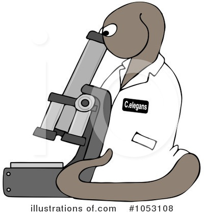 Royalty-Free (RF) Science Clipart Illustration by djart - Stock Sample #1053108