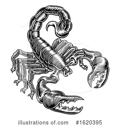 Royalty-Free (RF) Scorpion Clipart Illustration by AtStockIllustration - Stock Sample #1620395