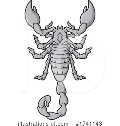 Scorpion Clipart #1741143 by Any Vector