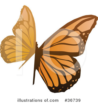 Butterfly Clipart #36739 by OnFocusMedia
