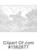 Sea Life Clipart #1562877 by Alex Bannykh