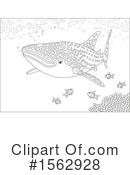 Sea Life Clipart #1562928 by Alex Bannykh