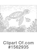 Sea Life Clipart #1562935 by Alex Bannykh
