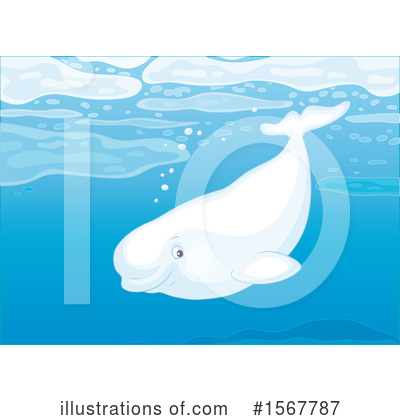 Beluga Clipart #1567787 by Alex Bannykh