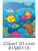 Sea Life Clipart #1580116 by visekart