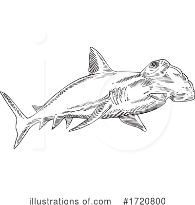 Royalty-Free (RF) Sea Life Clipart Illustration by patrimonio - Stock Sample #1720800