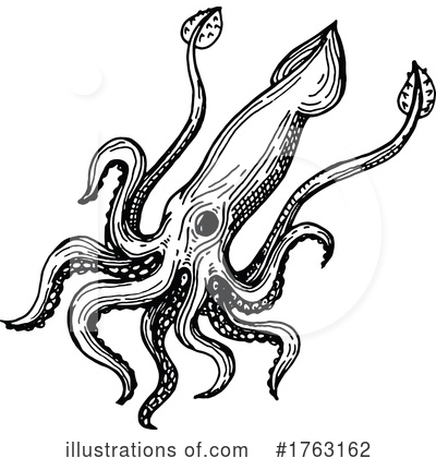 Squid Clipart #1763162 by Vector Tradition SM