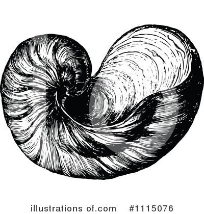 Royalty-Free (RF) Sea Shell Clipart Illustration by Prawny Vintage - Stock Sample #1115076
