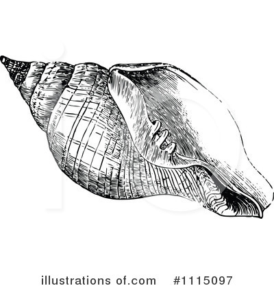 Royalty-Free (RF) Sea Shell Clipart Illustration by Prawny Vintage - Stock Sample #1115097