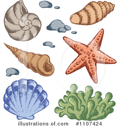 Seashells Clipart #1107424 by visekart