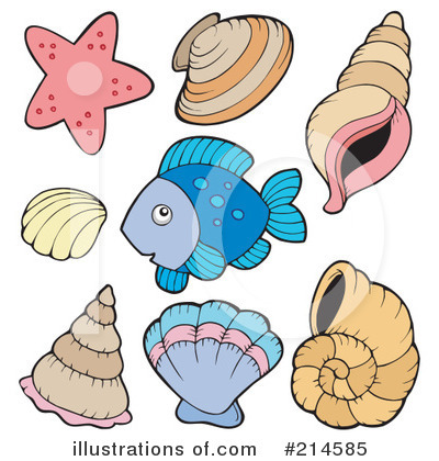 Sea Shells Clipart #214585 by visekart