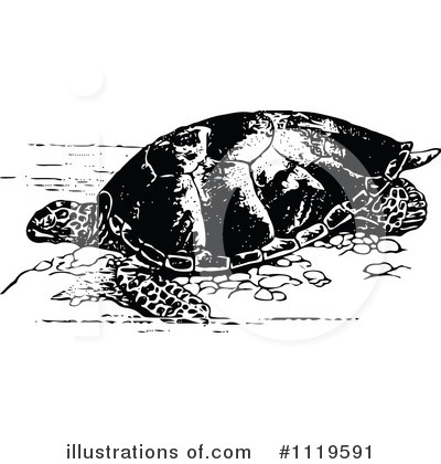 Royalty-Free (RF) Sea Turtle Clipart Illustration by Prawny Vintage - Stock Sample #1119591
