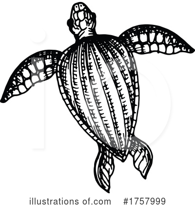 Royalty-Free (RF) Sea Turtle Clipart Illustration by Vector Tradition SM - Stock Sample #1757999