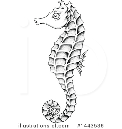 Royalty-Free (RF) Seahorse Clipart Illustration by cidepix - Stock Sample #1443536