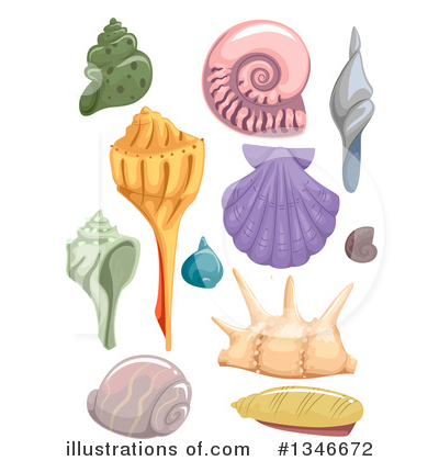 Royalty-Free (RF) Seashell Clipart Illustration by BNP Design Studio - Stock Sample #1346672