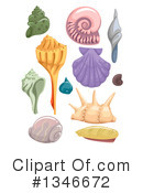Seashell Clipart #1346672 by BNP Design Studio